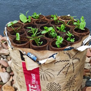 Ein kräftiges „Ja" zum Umweltschutz – aber ehrlich!