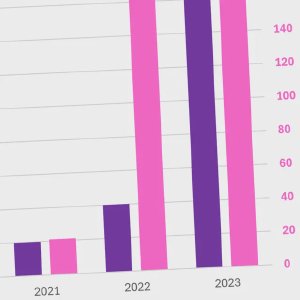 Statistik: Import von Feuerwerkskörpern 2024