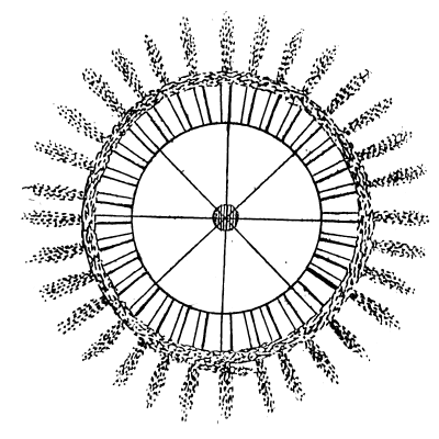 Silvesternacht: Noch mehr Polizei ist keine Lösung