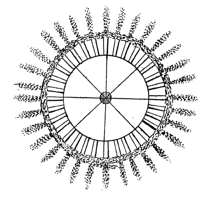Silvesternacht: Noch mehr Polizei ist keine Lösung